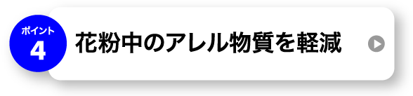 ԕ̃Ay